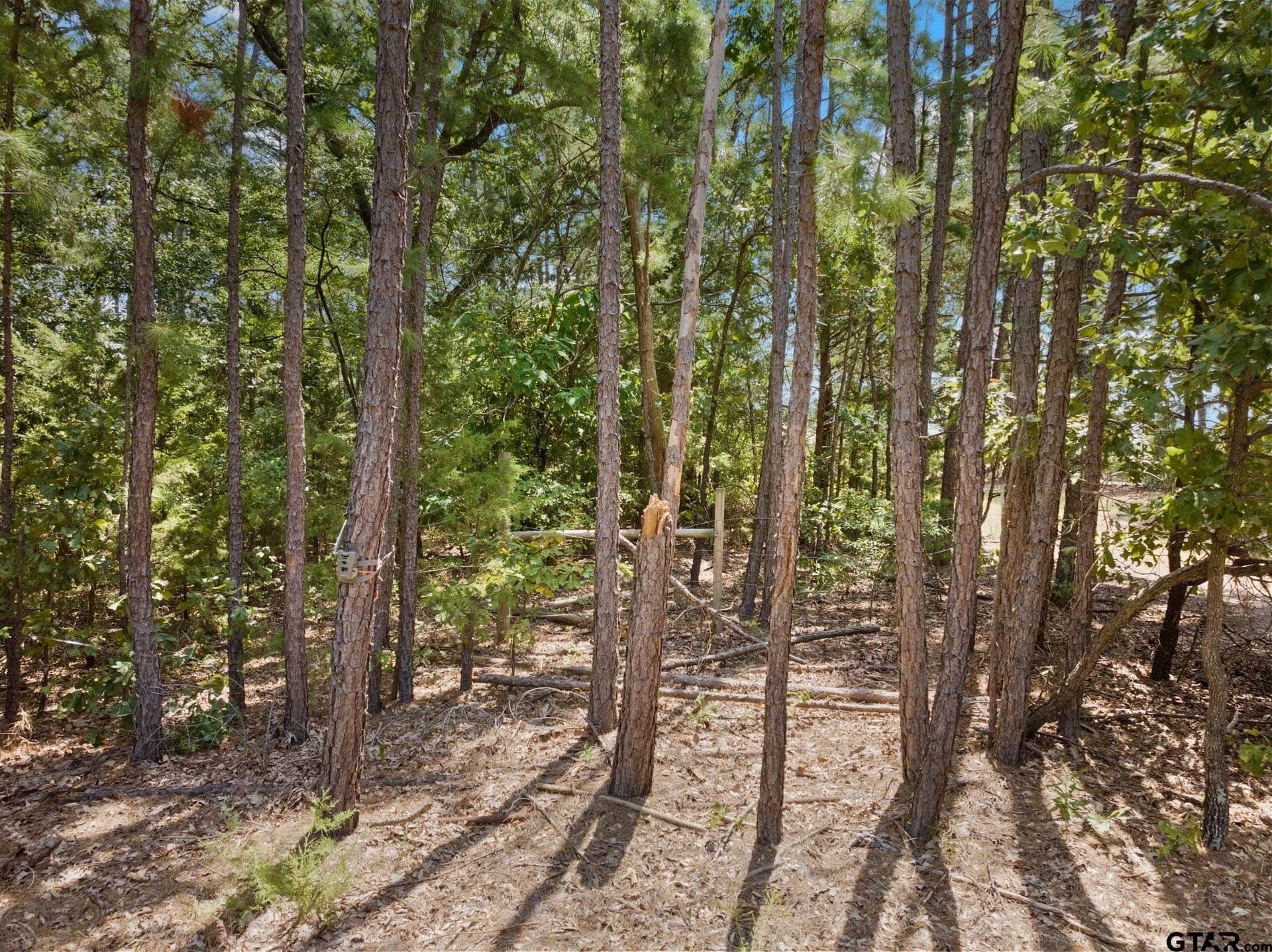 12.94 acres in Franklin County - photo 23