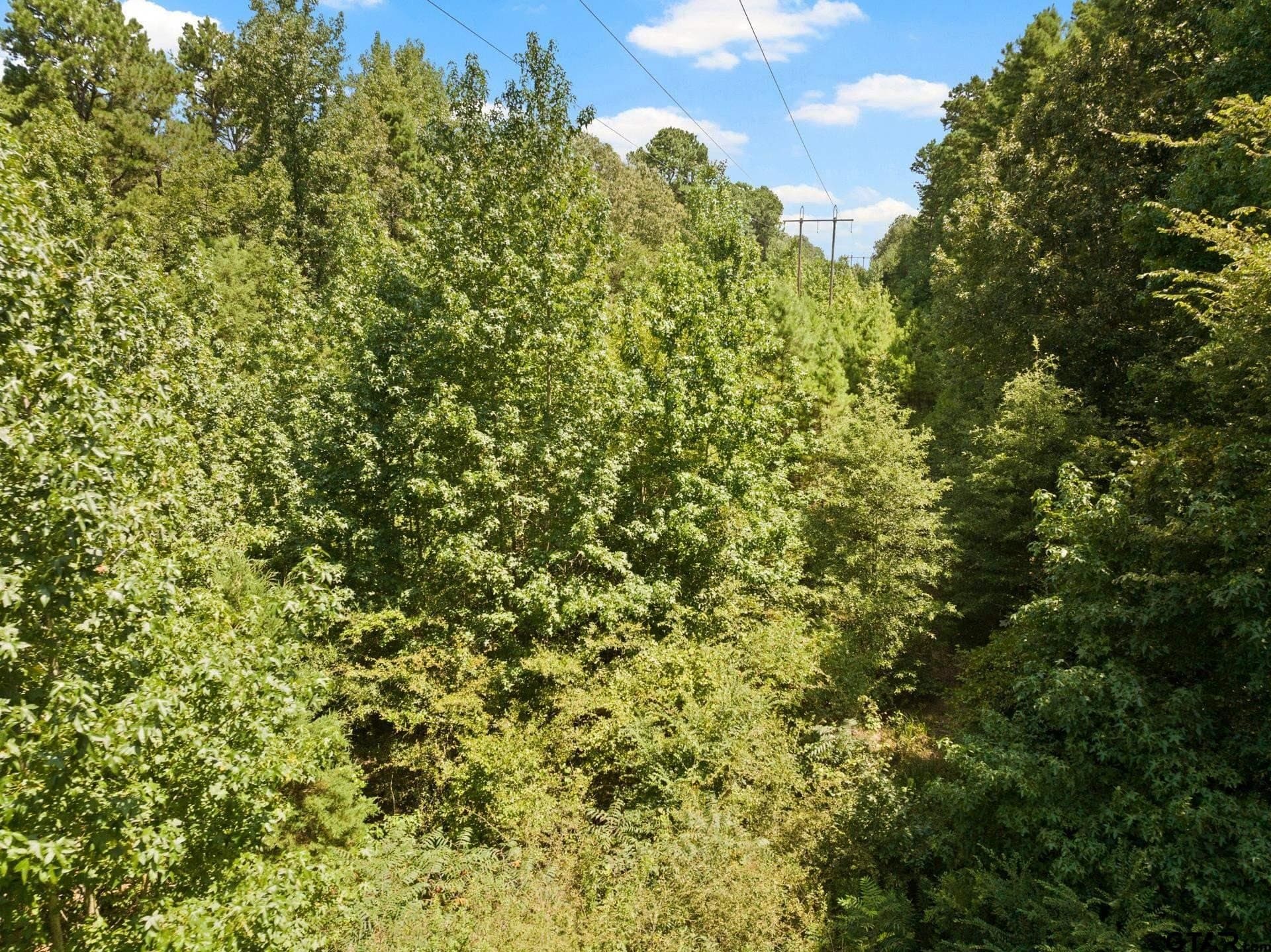 12.94 acres in Franklin County - photo 21