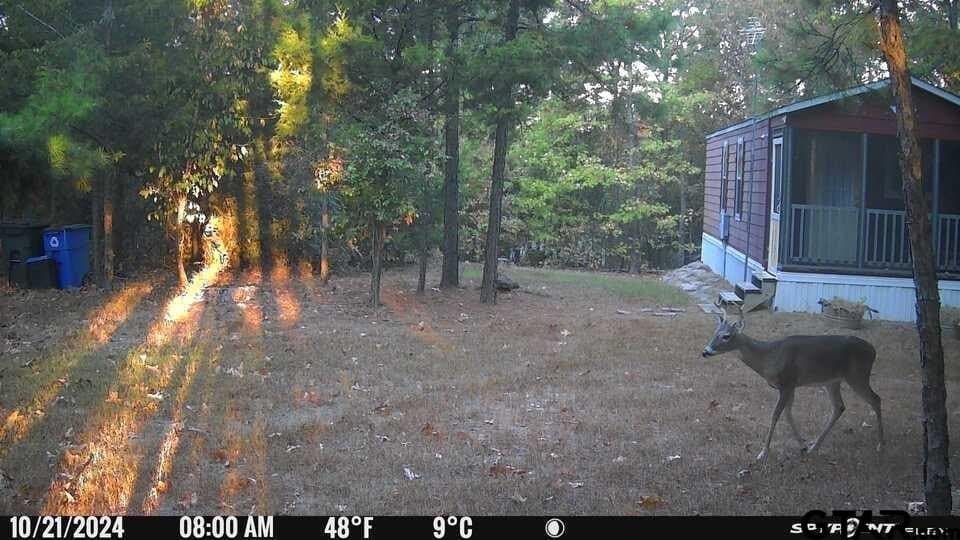12.94 acres in Franklin County - photo 38