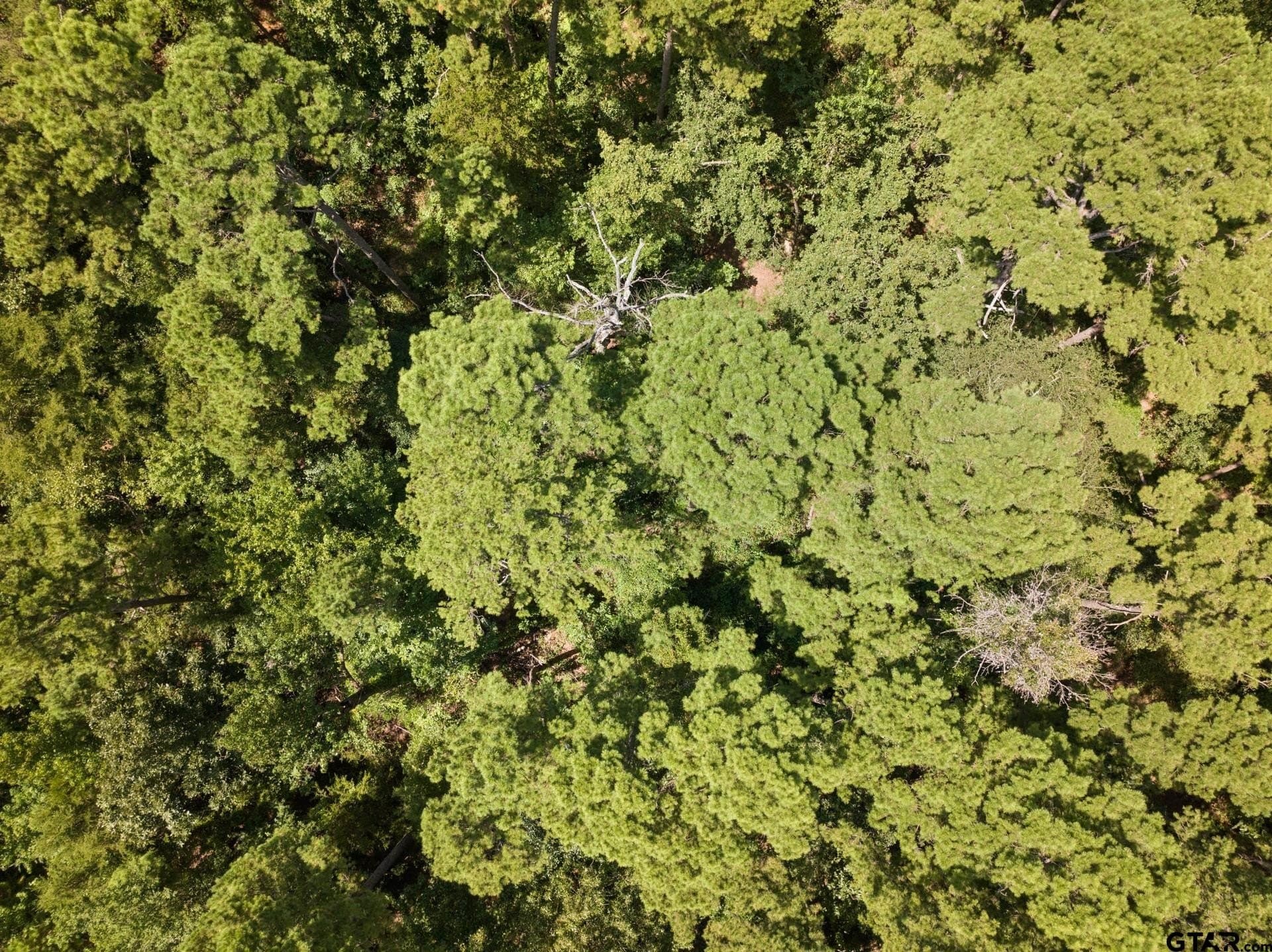 12.94 acres in Franklin County - photo 27