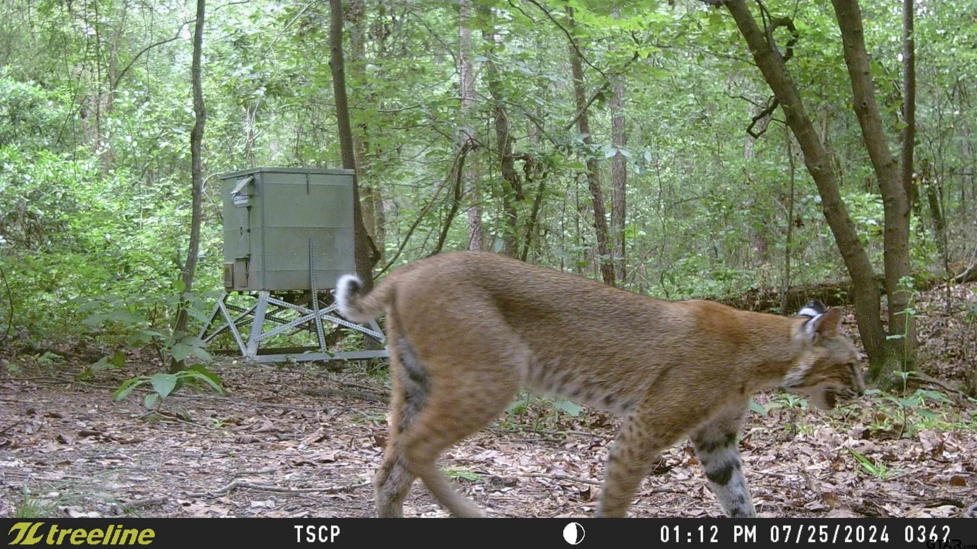 12.94 acres in Franklin County - photo 37