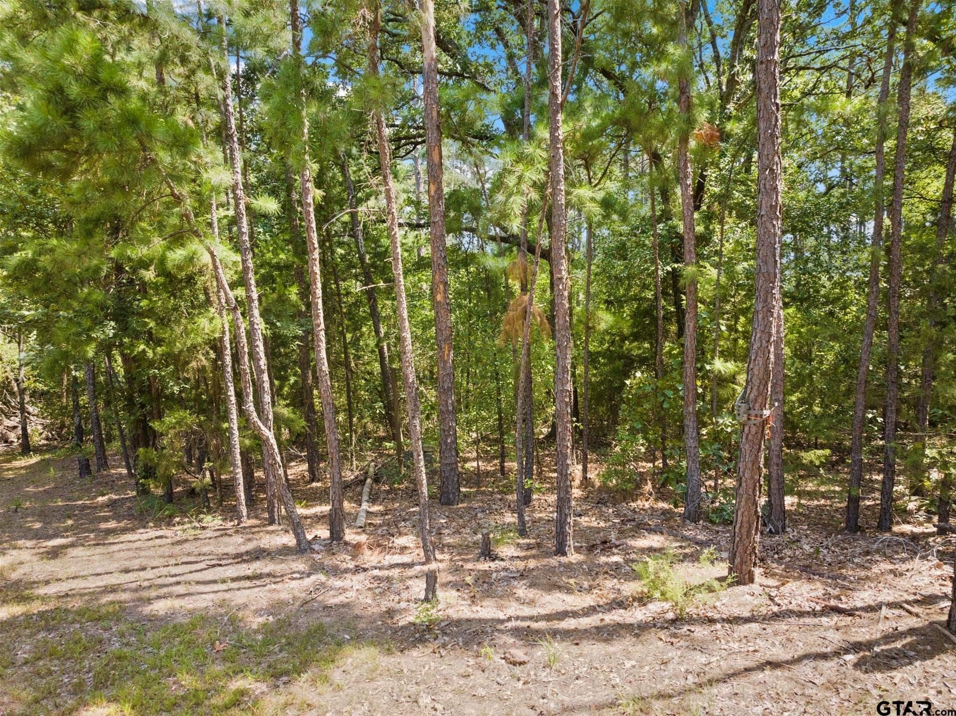 12.94 acres in Franklin County - photo 24