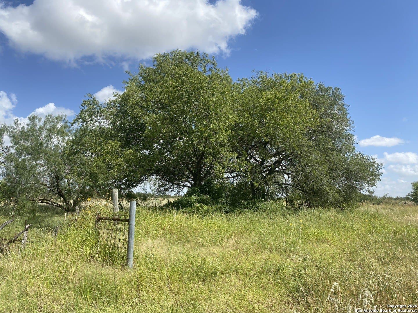 50.05 acres in Atascosa County - photo 37