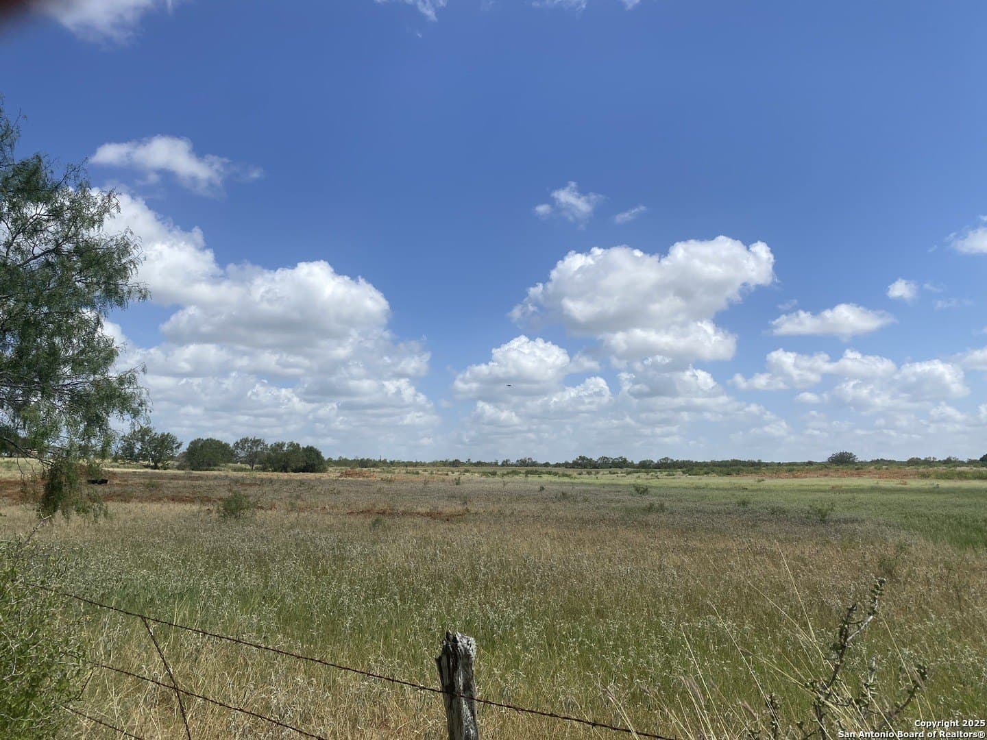 50.05 acres in Atascosa County - photo 38