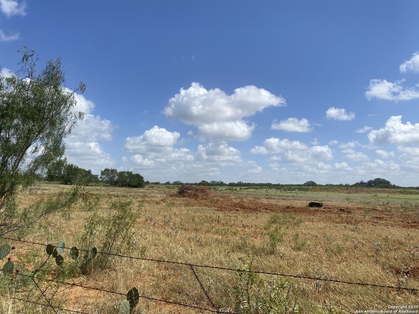 50.05 acres in Atascosa County - photo 41