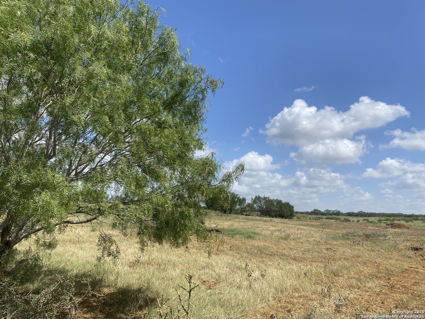 50.05 acres in Atascosa County - photo 44