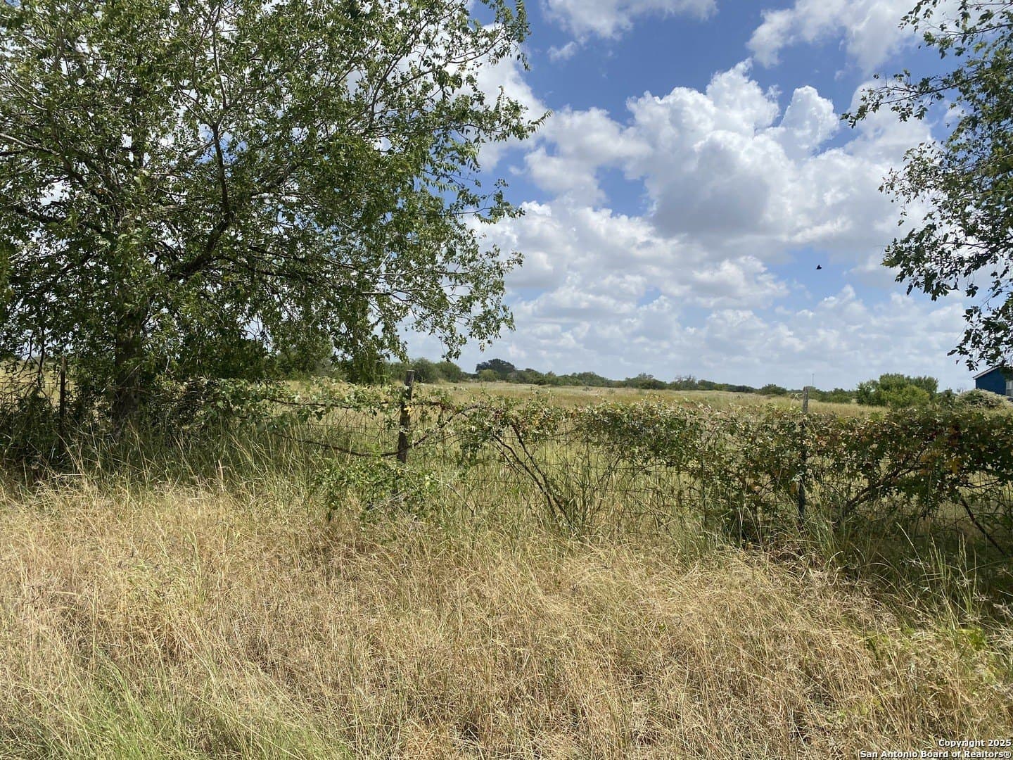 50.05 acres in Atascosa County - photo 32