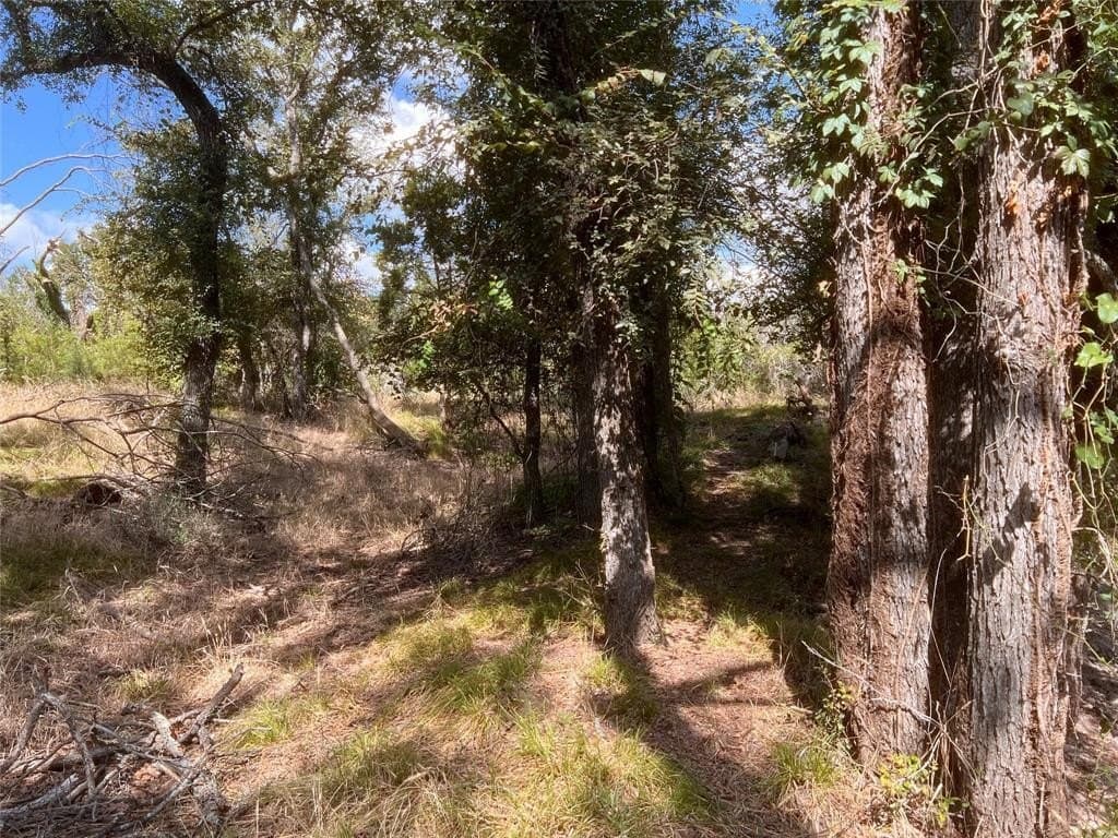 30 acres in Mills County - photo 14