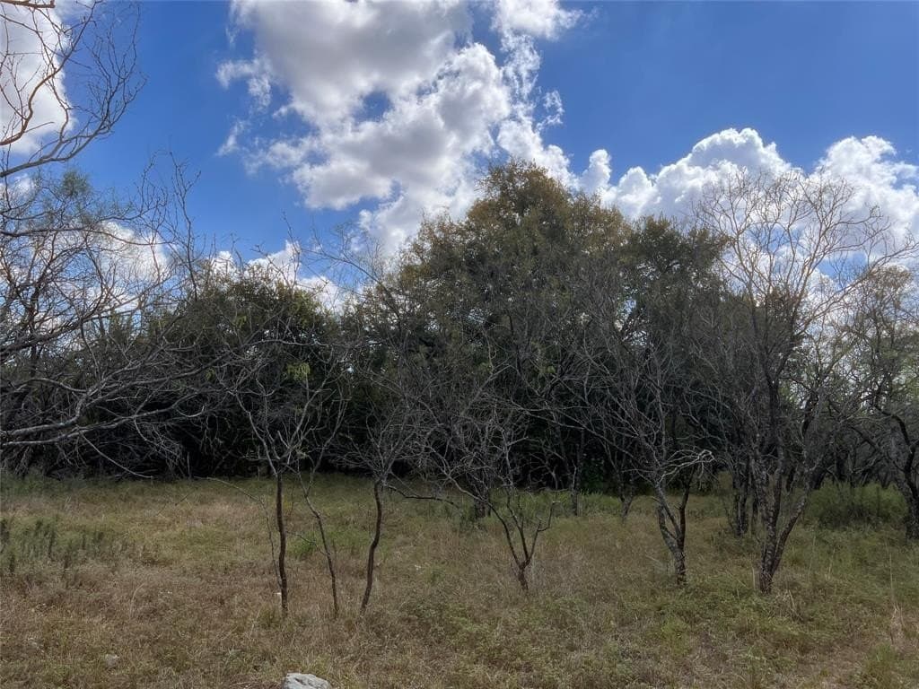 30 acres in Mills County - photo 13