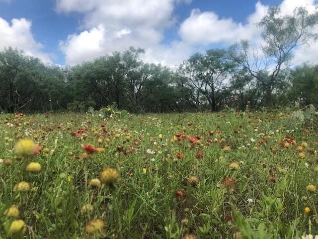30 acres in Mills County - photo 18