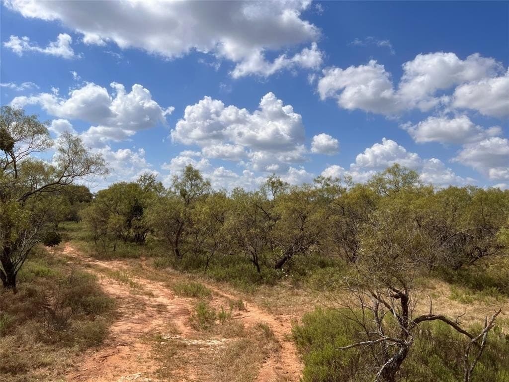 30 acres in Mills County - photo 12