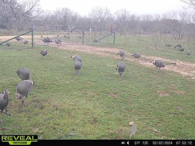 30 acres in Mills County - photo 24