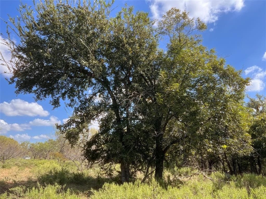 30 acres in Mills County - photo 16