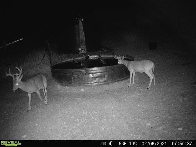 30 acres in Mills County - photo 3