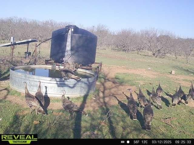 30 acres in Mills County - photo 5