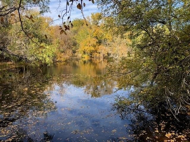 30 acres in Mills County - photo 20