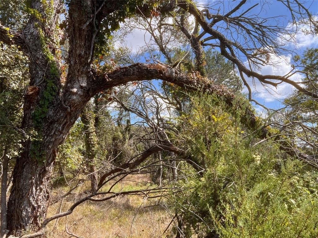 30 acres in Mills County - photo 15