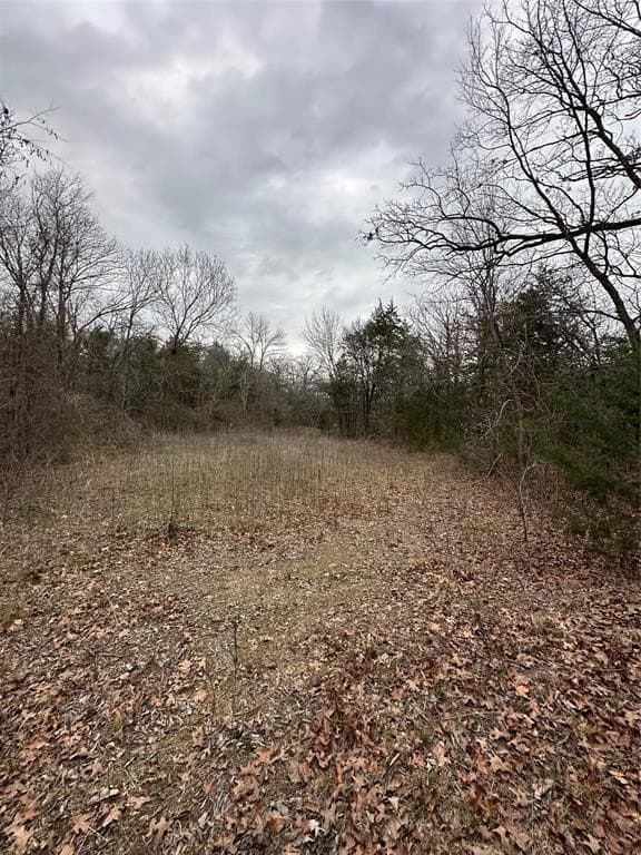 0.17 acres in Grayson County - photo 9