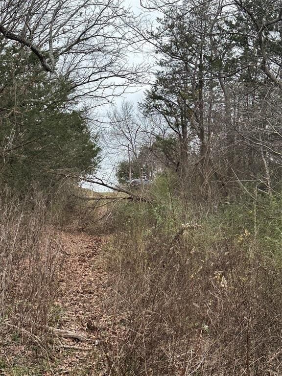 0.17 acres in Grayson County - photo 3