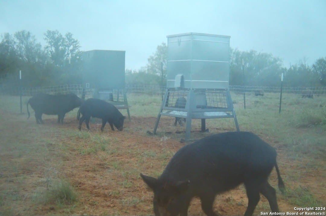 326.35 acres in Dimmit County - photo 8