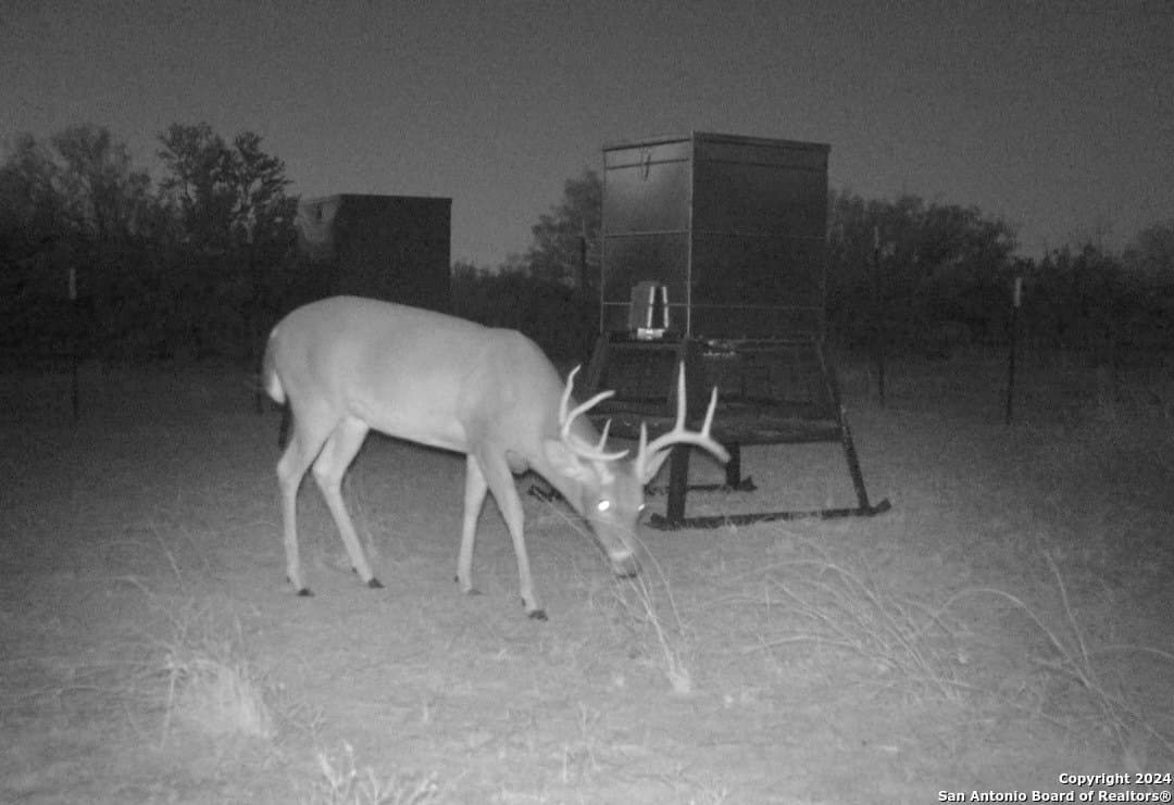 326.35 acres in Dimmit County - photo 7