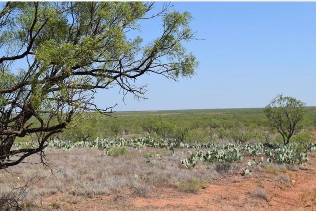 660 acres in Mitchell County - photo 10