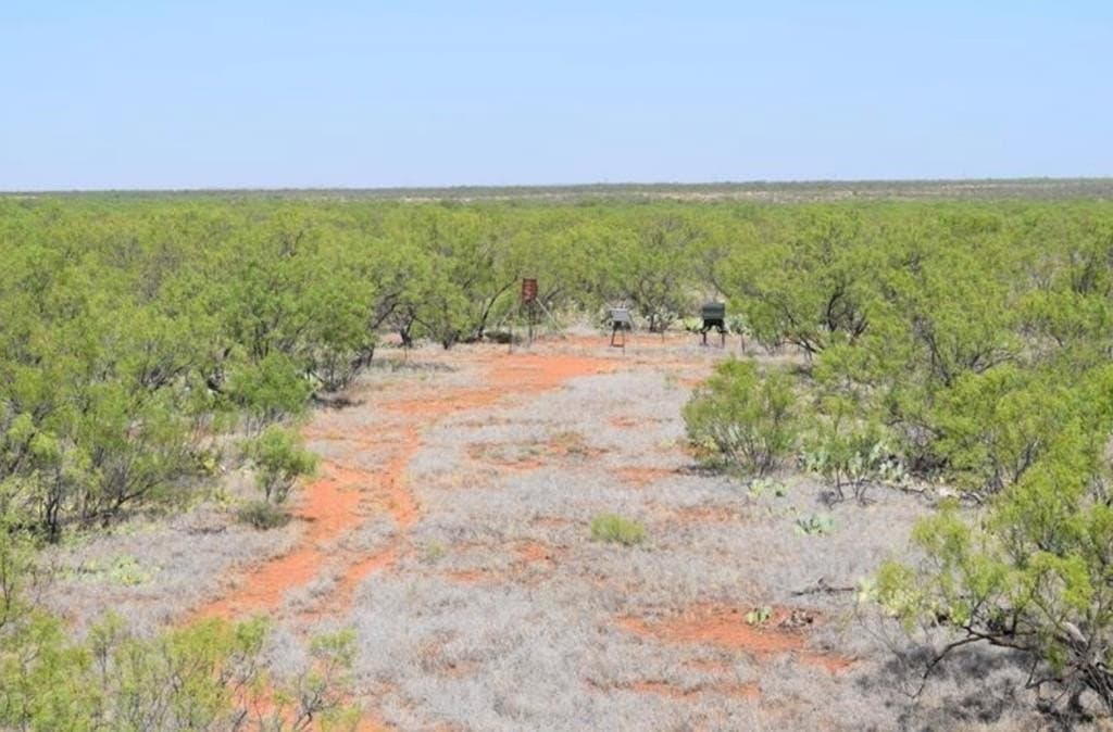 660 acres in Mitchell County - photo 9