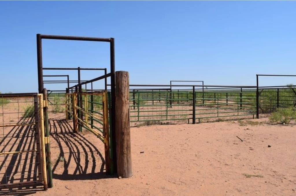 660 acres in Mitchell County - photo 12