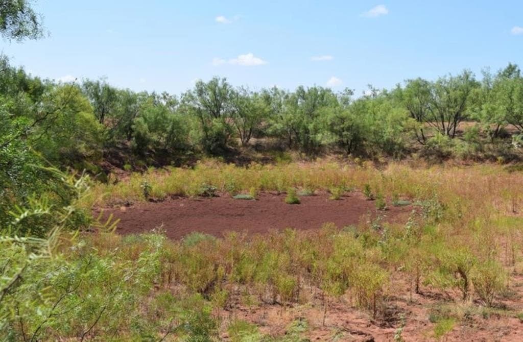 660 acres in Mitchell County - photo 7