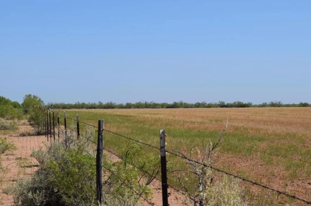 660 acres in Mitchell County - photo 14