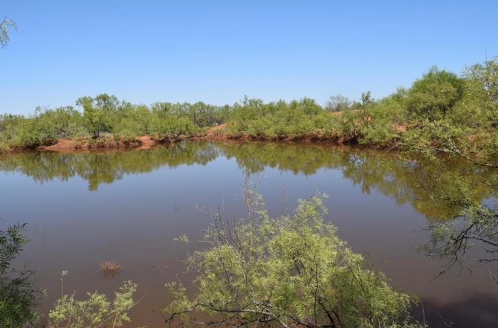 660 acres in Mitchell County - photo 11