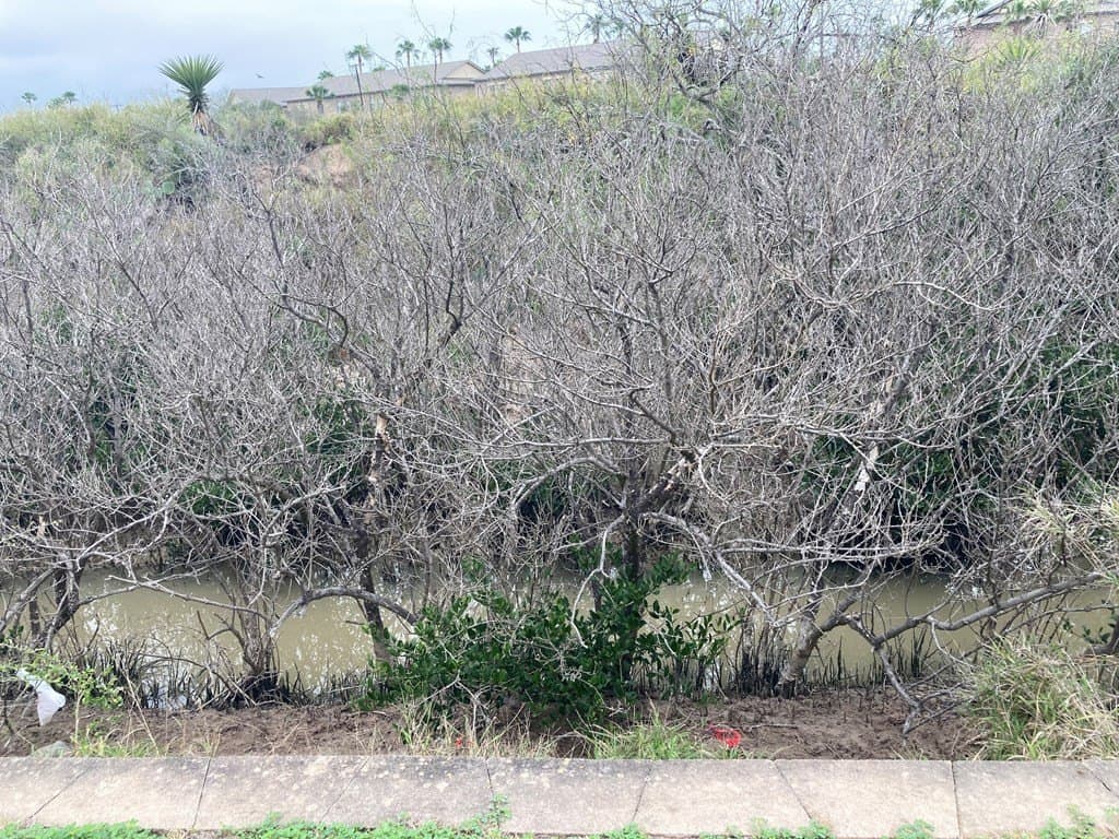 0 acres in Cameron County - photo 3