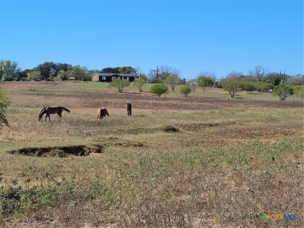 10.01 acres in Wilson County - photo 12