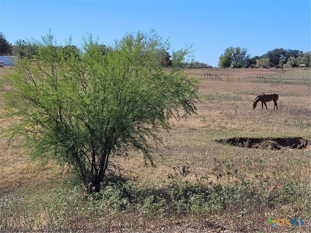 10.01 acres in Wilson County - photo 11