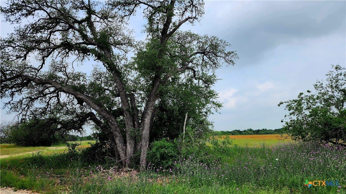 6.42 acres in Coryell County - photo 9