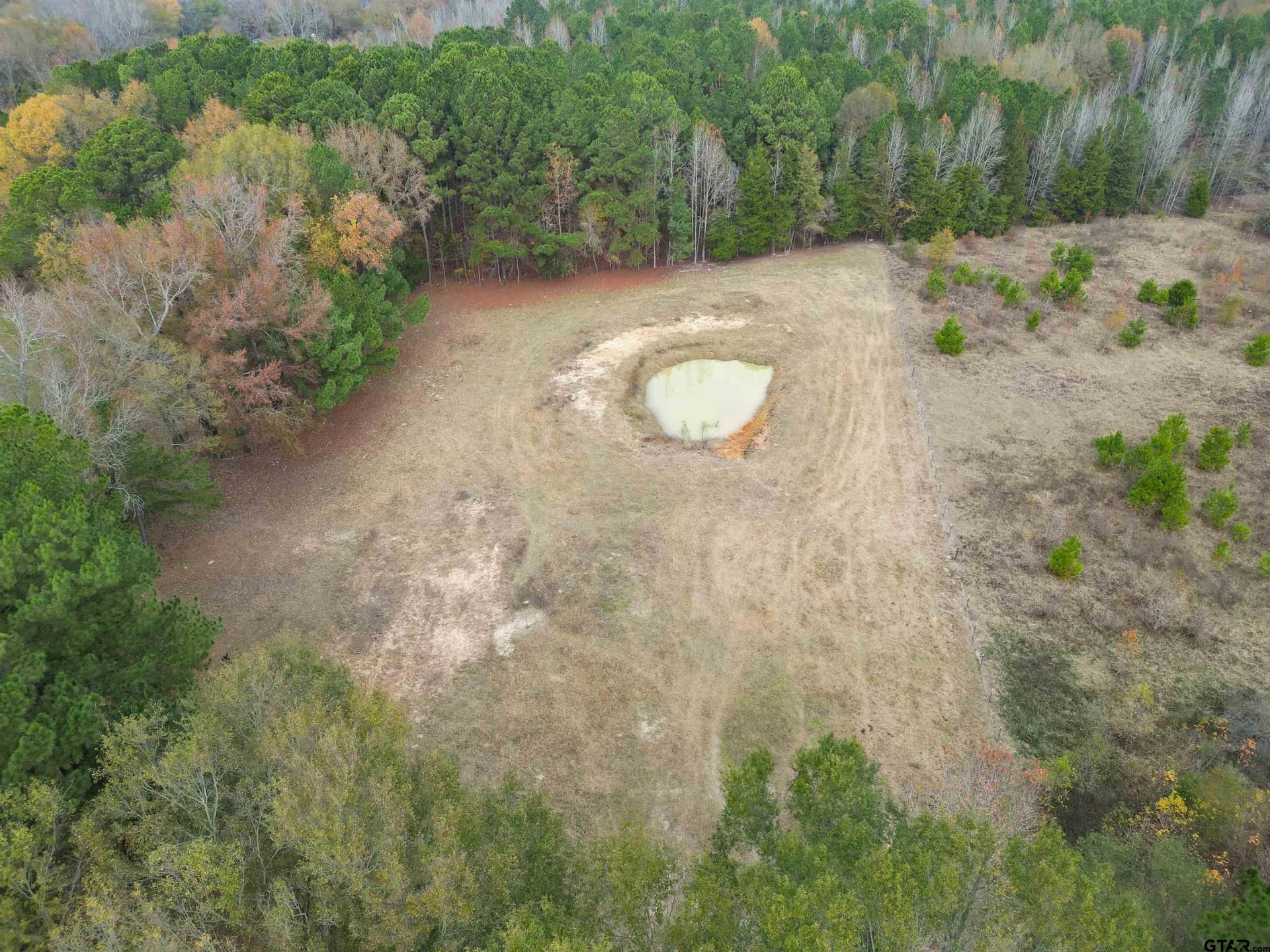 6.03 acres in Wood County - photo 25