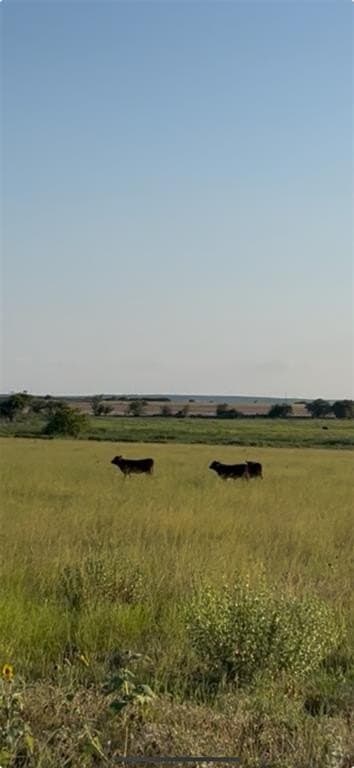 30 acres in Hamilton County - photo 2