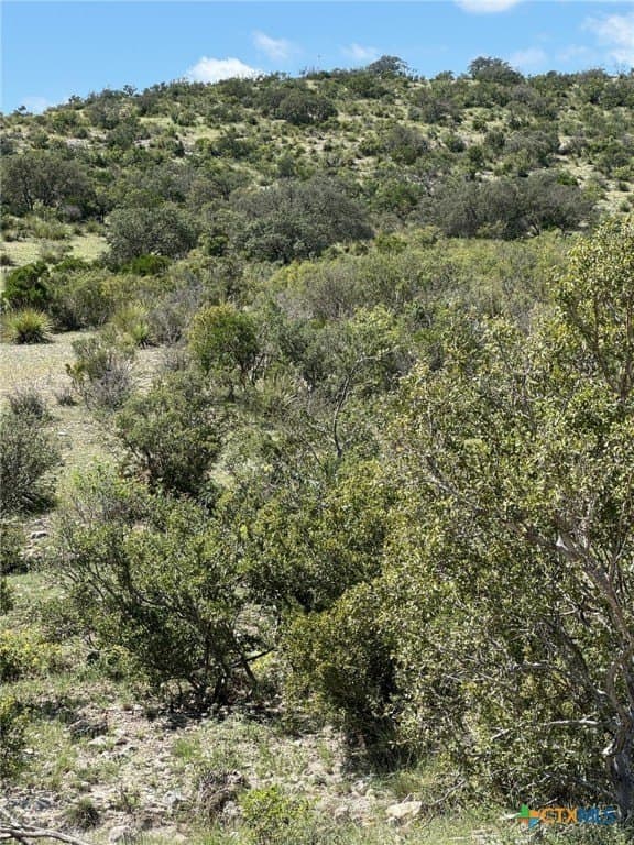 48.04 acres in Edwards County - photo 29