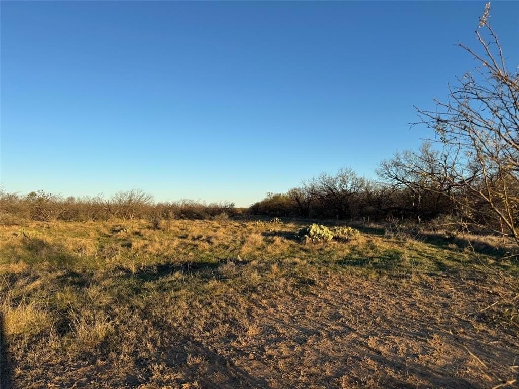 128.72 acres in Shackelford County - photo 11