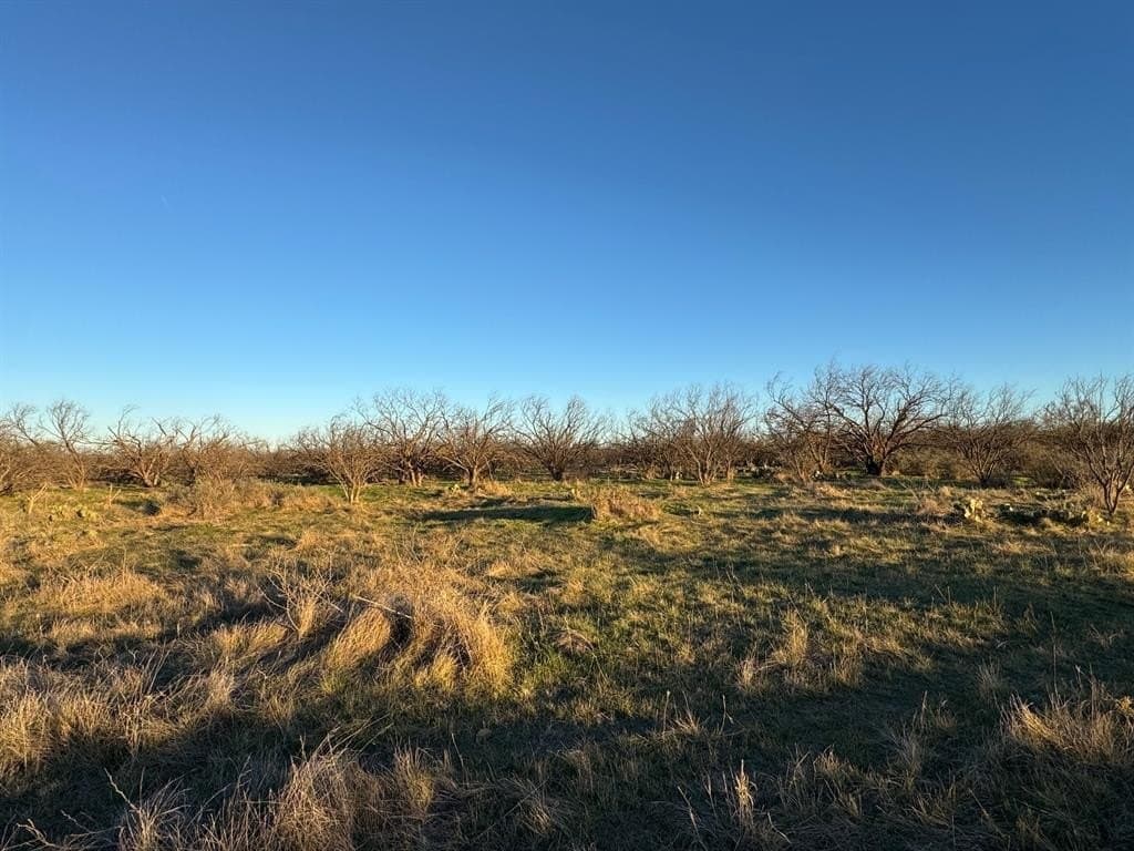 128.72 acres in Shackelford County - photo 13