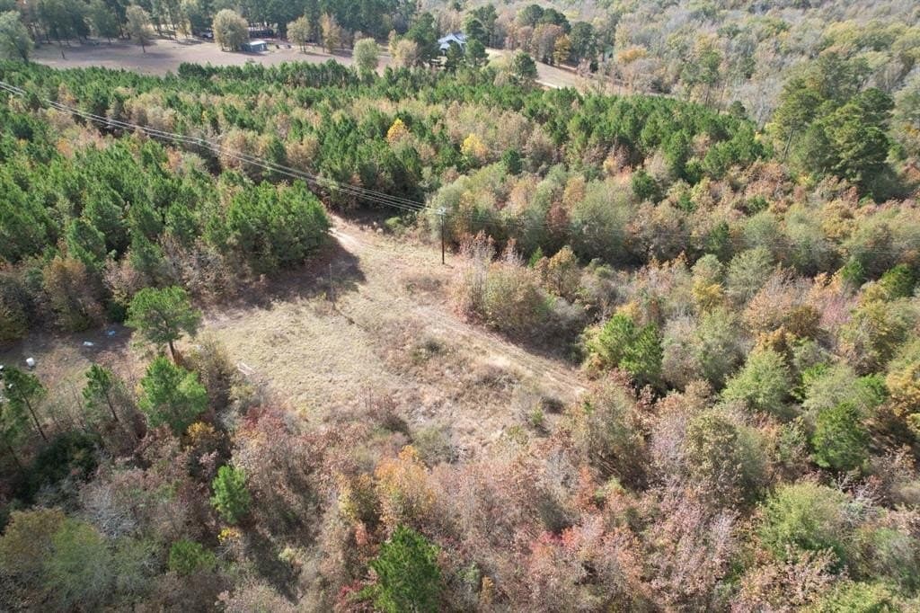 100 acres in Upshur County - photo 23
