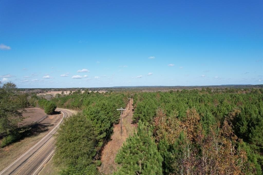 100 acres in Upshur County - photo 4