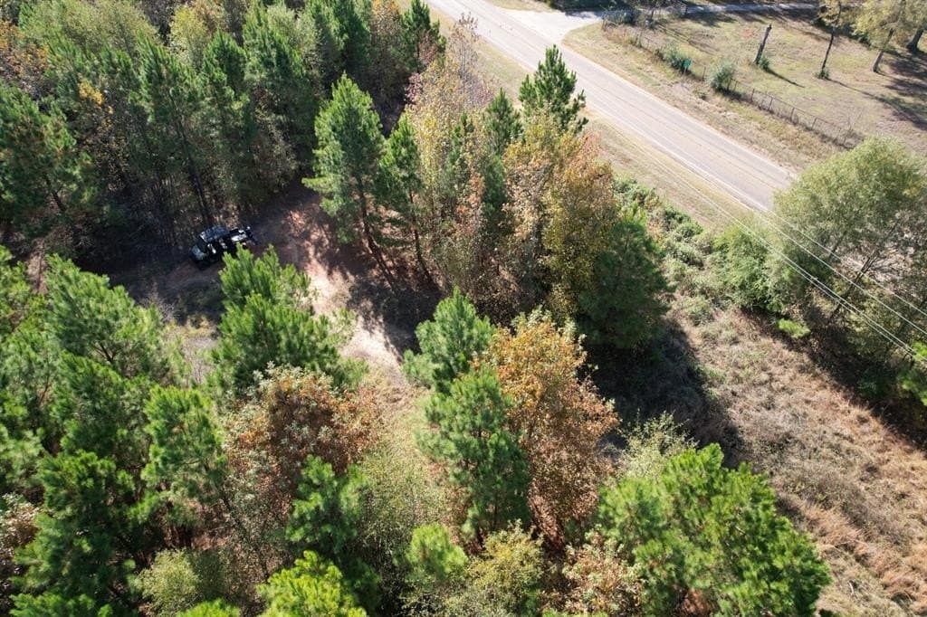 100 acres in Upshur County - photo 19