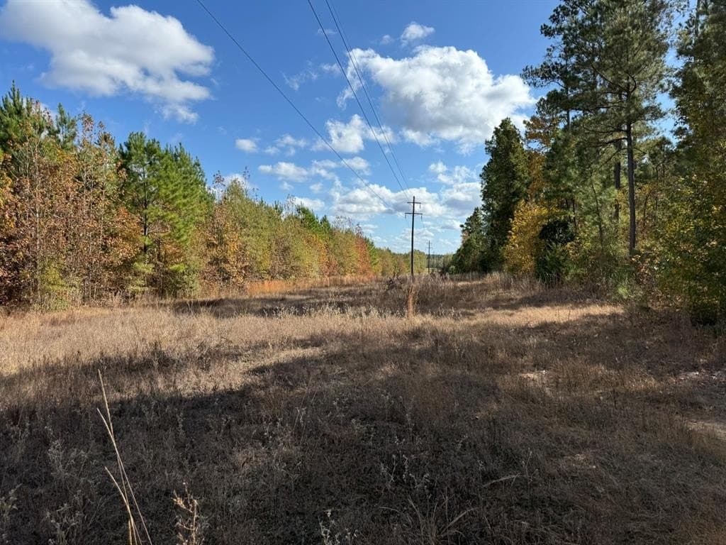 100 acres in Upshur County - photo 28