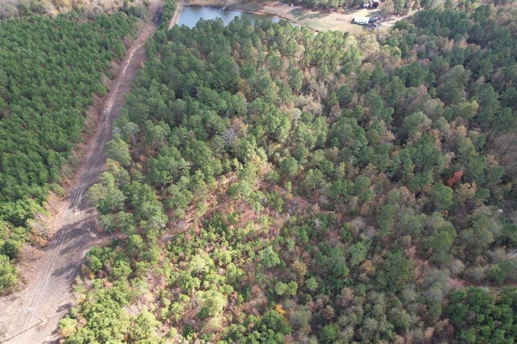 100 acres in Upshur County - photo 21
