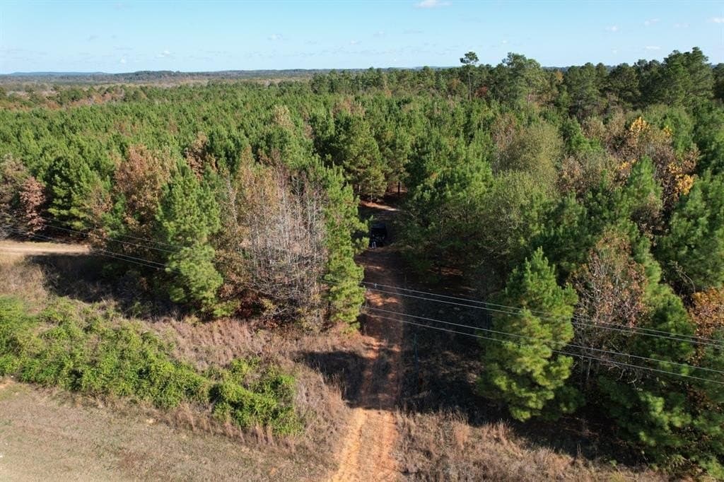 100 acres in Upshur County - photo 5