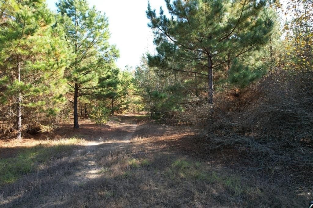 100 acres in Upshur County - photo 3