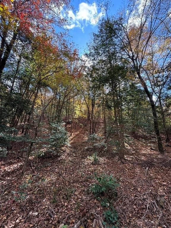 100 acres in Upshur County - photo 38
