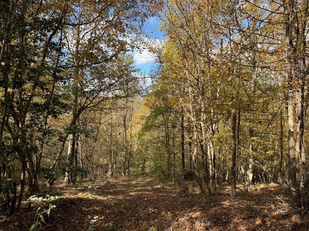 100 acres in Upshur County - photo 30