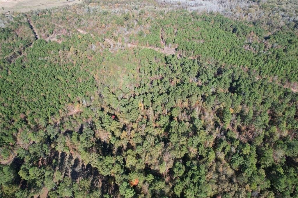 100 acres in Upshur County - photo 6